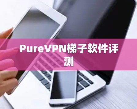 PureVPN梯子软件评测