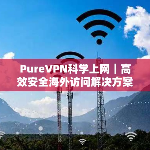 PureVPN科学上网｜高效安全海外访问解决方案