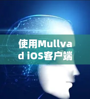 使用Mullvad iOS客户端的步骤指南