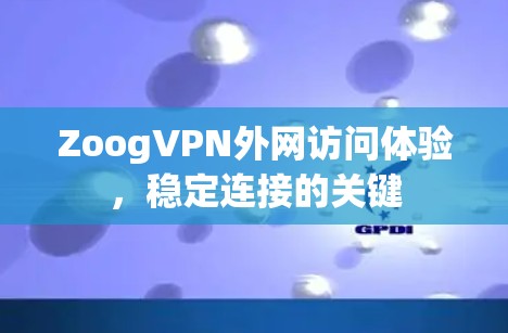 ZoogVPN外网访问体验，稳定连接的关键