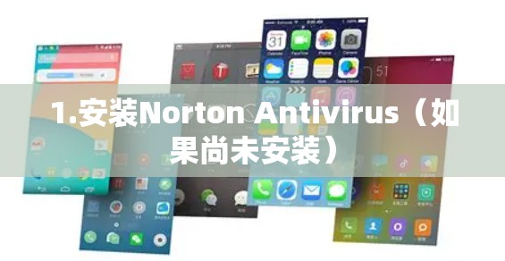 1.安装Norton Antivirus（如果尚未安装）