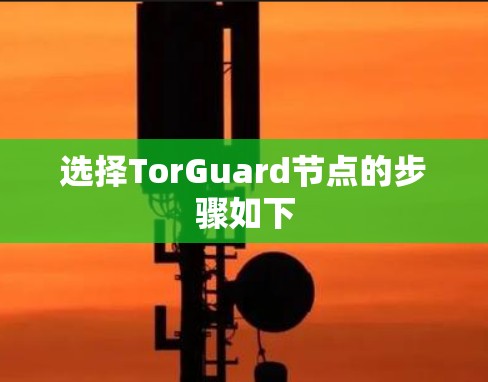 选择TorGuard节点的步骤如下