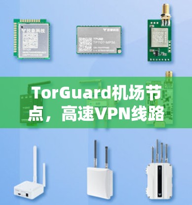 TorGuard机场节点，高速VPN线路的全解析