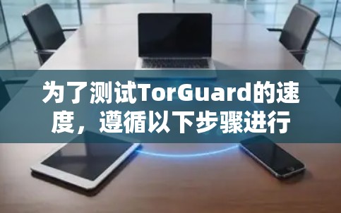 为了测试TorGuard的速度，遵循以下步骤进行