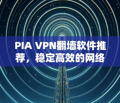 PIA VPN翻墙软件推荐，稳定高效的网络安全解决方案