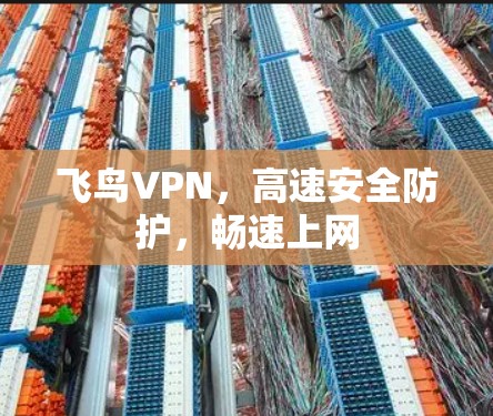 飞鸟VPN,高速安全防护,畅速上网 飞鸟VPN,高速安全防护,畅速上网