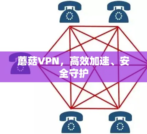 蘑菇VPN,高效加速、安全守护 蘑菇VPN,高效加速、安全守护
