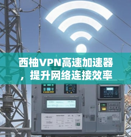 西柚VPN高速加速器，提升网络连接效率的秘密武器