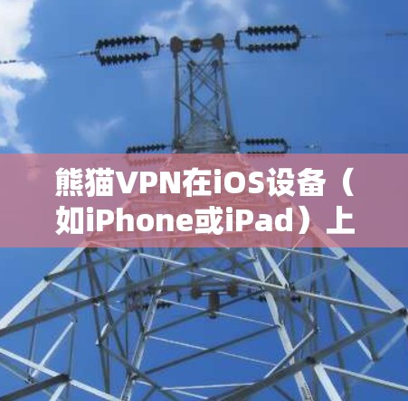 熊猫VPN在iOS设备（如iPhone或iPad）上的安装和使用步骤如下