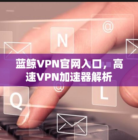 蓝鲸VPN官网入口，高速VPN加速器解析