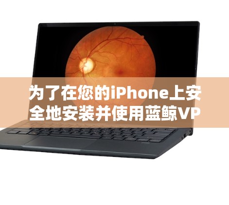 为了在您的iPhone上安全地安装并使用蓝鲸VPN，您可以按照以下步骤操作