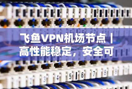 飞鱼VPN机场节点｜高性能稳定，安全可靠推荐