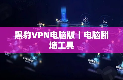 黑豹VPN电脑版｜电脑翻墙工具
