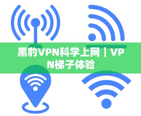 黑豹VPN科学上网｜VPN梯子体验
