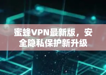 蜜蜂VPN最新版，安全隐私保护新升级
