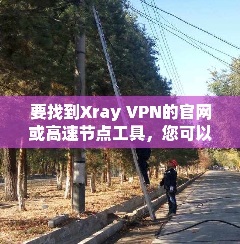 要找到Xray VPN的官网或高速节点工具，您可以按照以下步骤操作