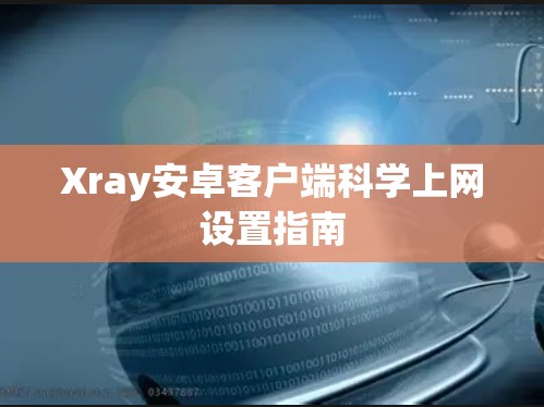 Xray安卓客户端科学上网设置指南