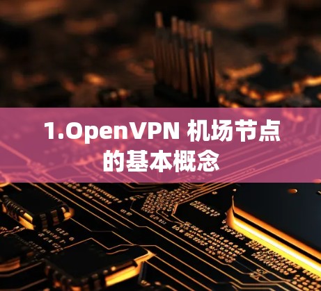 1.OpenVPN 机场节点的基本概念