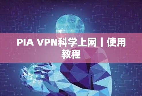 PIA VPN科学上网｜使用教程
