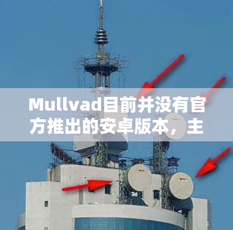 Mullvad目前并没有官方推出的安卓版本，主要是因为他们的服务主要针对桌面端用户。如果你需要在安卓设备上使用VPN，以下是一些替代方案和建议