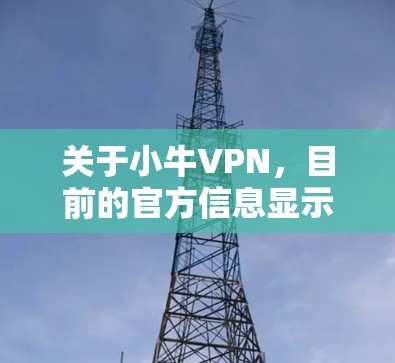 关于小牛VPN，目前的官方信息显示其已更名为GoVPN。GoVPN提供高效的VPN服务，适用于多种网络需求，包括高速加速、多设备连接等功能
