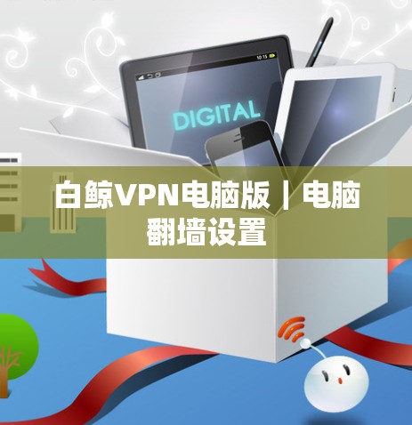 白鲸VPN电脑版｜电脑翻墙设置