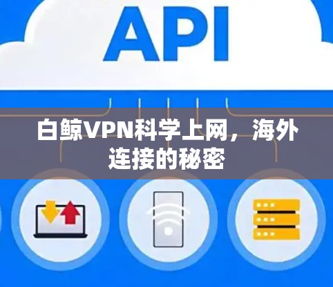 白鲸VPN科学上网，海外连接的秘密