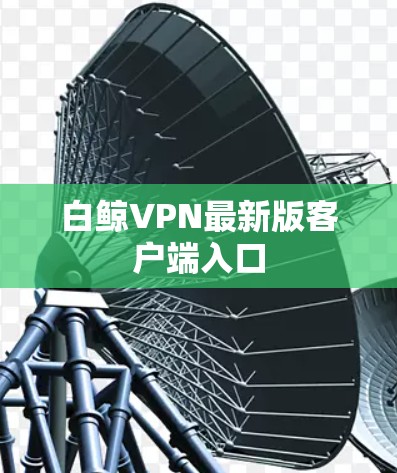 白鲸VPN最新版客户端入口