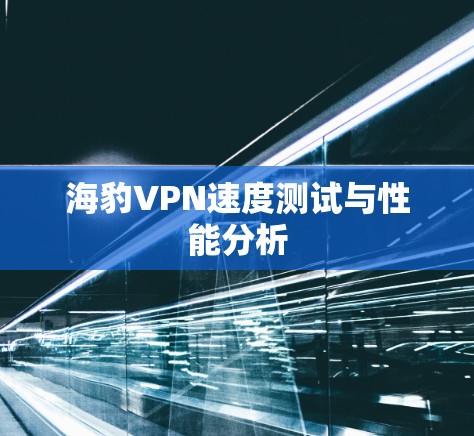 海豹VPN速度测试与性能分析