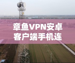 章鱼VPN安卓客户端手机连接详细指南 章鱼VPN安卓客户端手机连接详细指南