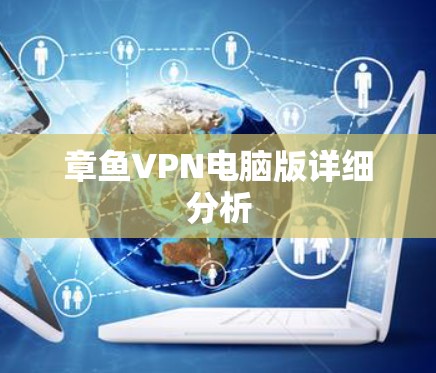 章鱼VPN电脑版详细分析