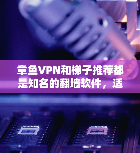 章鱼VPN和梯子推荐都是知名的翻墙软件，适用于绕过网络限制和访问国际网站。以下是它们的详细比较