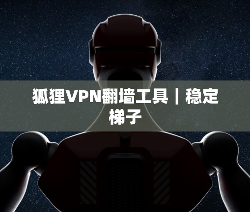 狐狸VPN翻墙工具｜稳定梯子