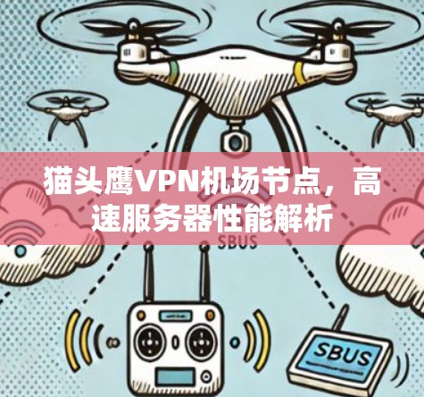 猫头鹰VPN机场节点，高速服务器性能解析