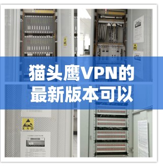 猫头鹰VPN的最新版本可以通过其官方网站或相关应用商店下载。为了确保安全，建议直接从官方渠道获取，以避免下载到恶意软件或不符合法规的版本