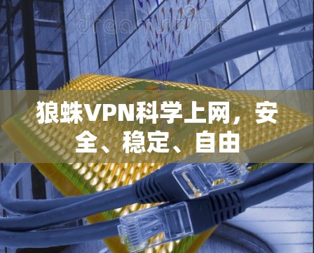 狼蛛VPN科学上网，安全、稳定、自由
