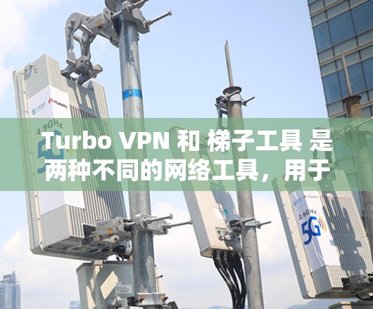 Turbo VPN 和 梯子工具 是两种不同的网络工具，用于不同的用途。以下是它们的详细介绍和使用方法