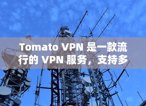 Tomato VPN 是一款流行的 VPN 服务，支持多种平台，包括 iOS。以下是使用 Tomato VPN 在苹果设备上的步骤
