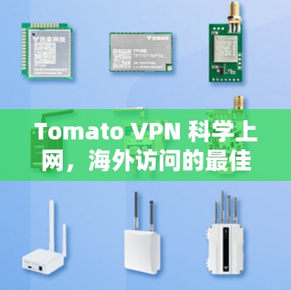 Tomato VPN 科学上网,海外访问的最佳选择 Tomato VPN 科学上网,海外访问的最佳选择