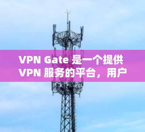 VPN Gate 是一个提供 VPN 服务的平台，用户可以通过它创建匿名的网络连接，访问受限的网站或保护隐私。对于 VPN Gate 的速度测试和线路性能分析，以下是一些关键点和方法