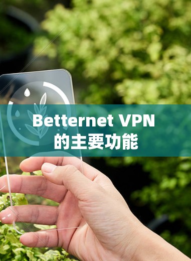 Betternet VPN 的主要功能