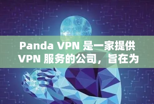 Panda VPN 是一家提供 VPN 服务的公司，旨在为用户提供匿名网络连接、保护隐私和安全。以下是关于 Panda VPN 速度测试和节点分析的一些关键点