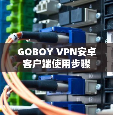 GOBOY VPN安卓客户端使用步骤