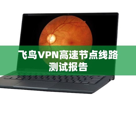 飞鸟VPN高速节点线路测试报告