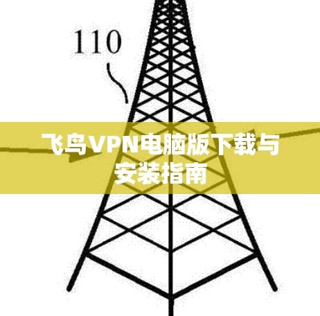 飞鸟VPN电脑版下载与安装指南