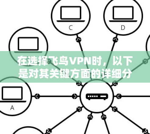在选择飞鸟VPN时，以下是对其关键方面的详细分析和建议