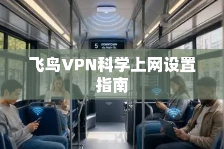 飞鸟VPN科学上网设置指南 飞鸟VPN科学上网设置指南