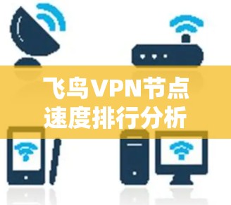 飞鸟VPN节点速度排行分析