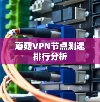 蘑菇VPN节点测速排行分析