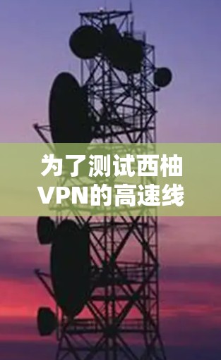 为了测试西柚VPN的高速线路，您可以按照以下步骤进行